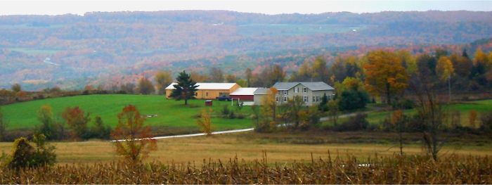 View of Fiery Hill Road Showroom